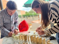 EfectoDomino