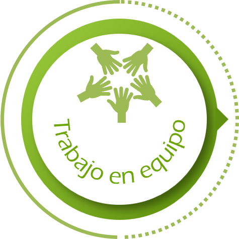 AreasCognitivas-TrabajoEquipo